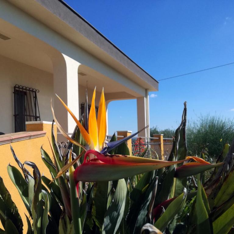 Casale della Minaga - Casa con 5 Camere da Letto - 18