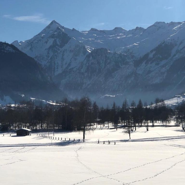 Grossglockner Chalets Zell am See - Chalet Edelweiss - 16