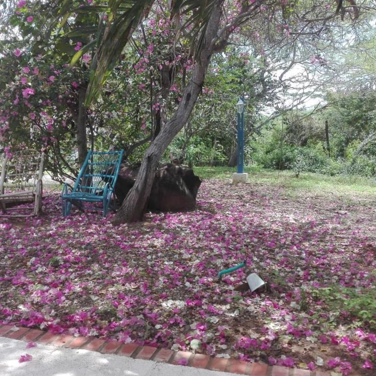 Frente al Mar - Casa - 9