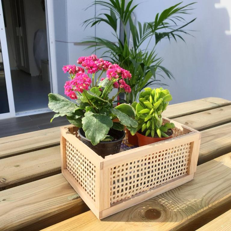 Le Suite Studio 491 - Apartamento Estudio - 19