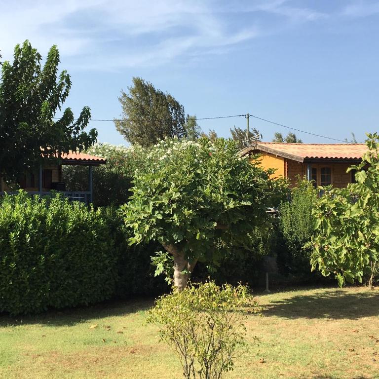 Chalets 1 MESANGE BLEUE Roquebrune Sur Argens - Chalet - 14