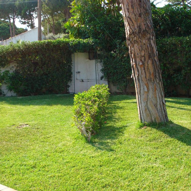 Villa La Bussola - Villa - 10