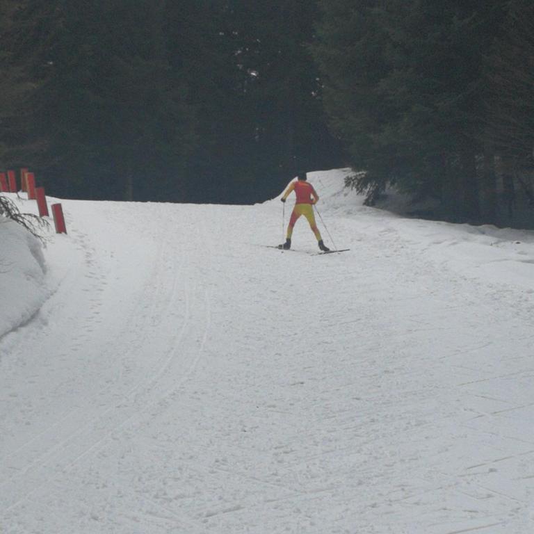 Studio Apartman ARAS - One-Bedroom Apartment - 59