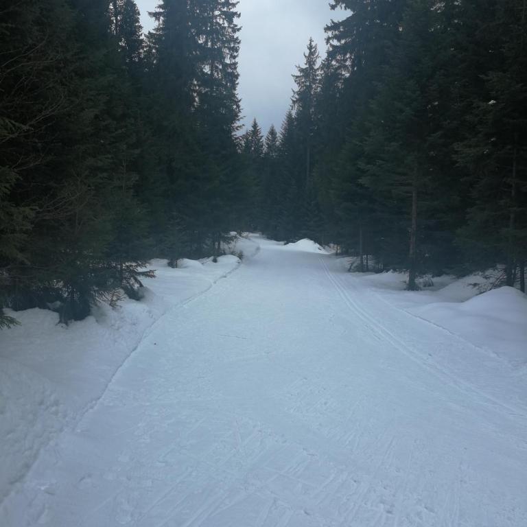 Studio Apartman ARAS - One-Bedroom Apartment - 56