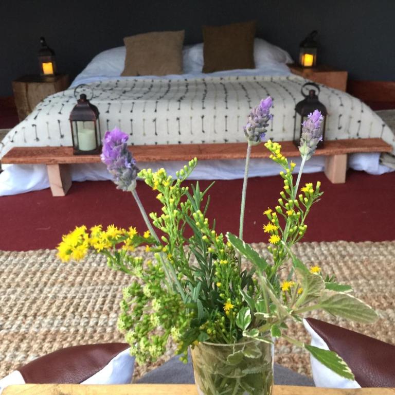 Complejo Playa Grande - Tent - 10