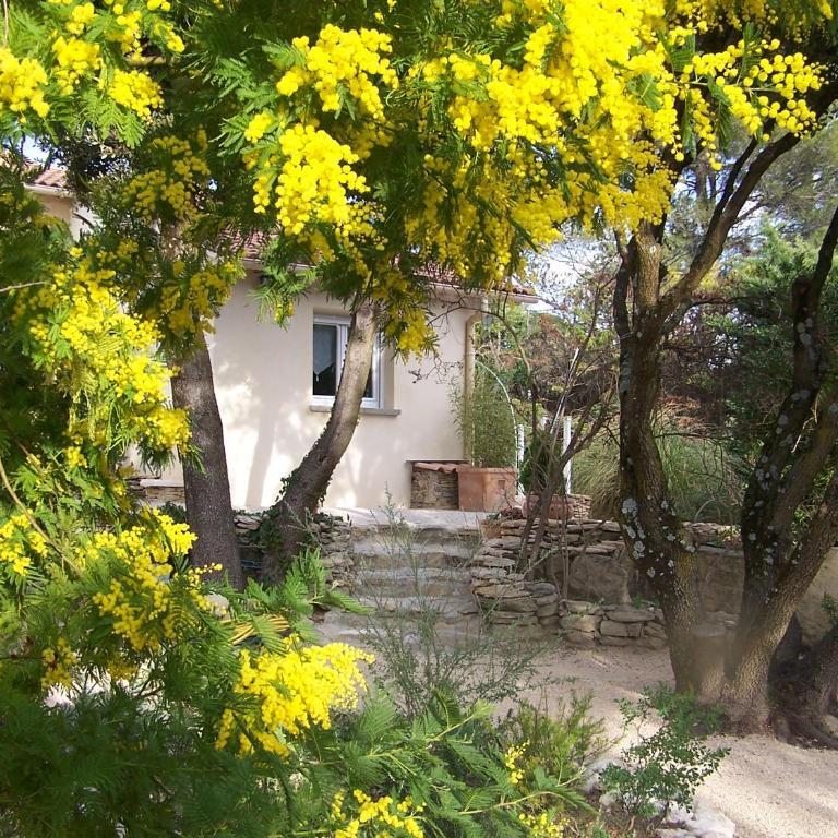 Les Florides - Appartement - Vue sur Jardin - 16