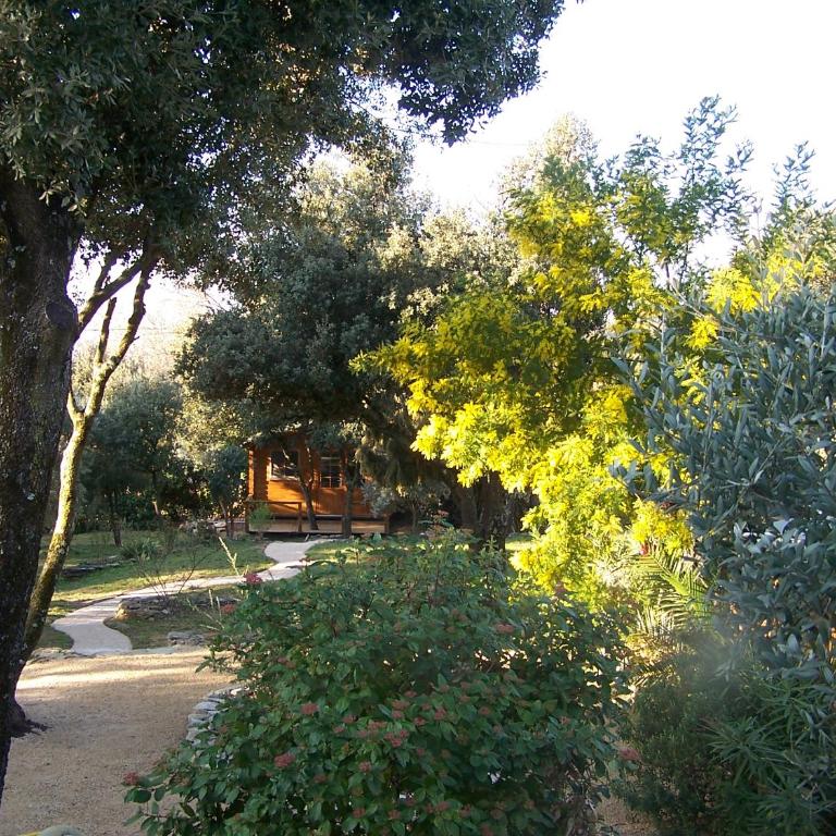Les Florides - Appartement - Vue sur Jardin - 18