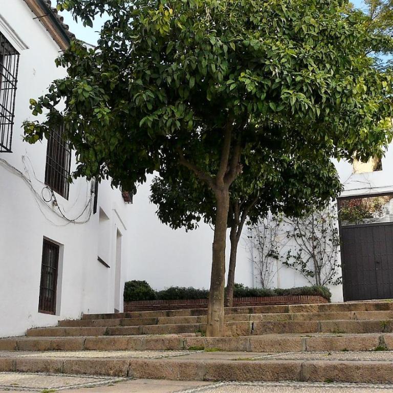 Lola5 - Apartamento de 2 dormitorios - 37