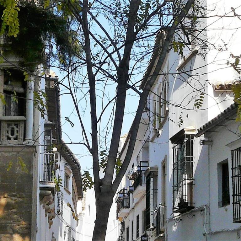 Lola5 - Apartamento de 2 dormitorios - 38
