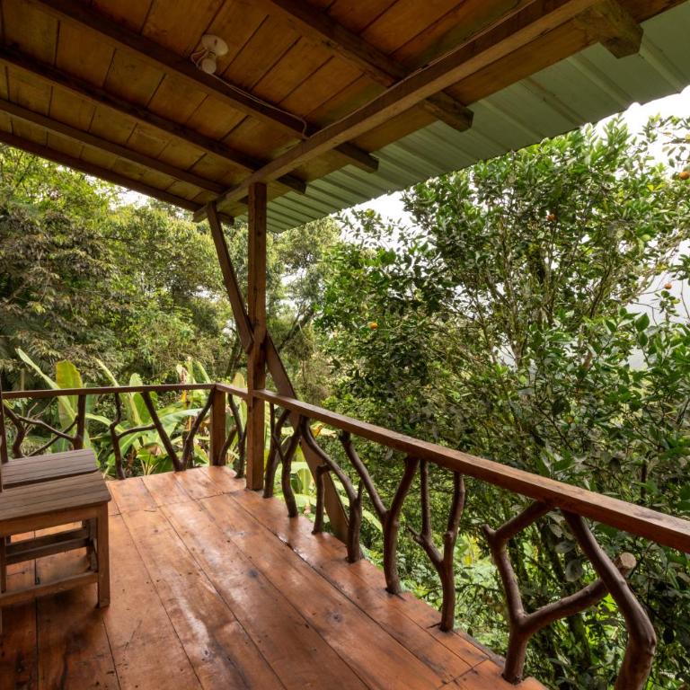 Eden Treehouse - Double Room - 3