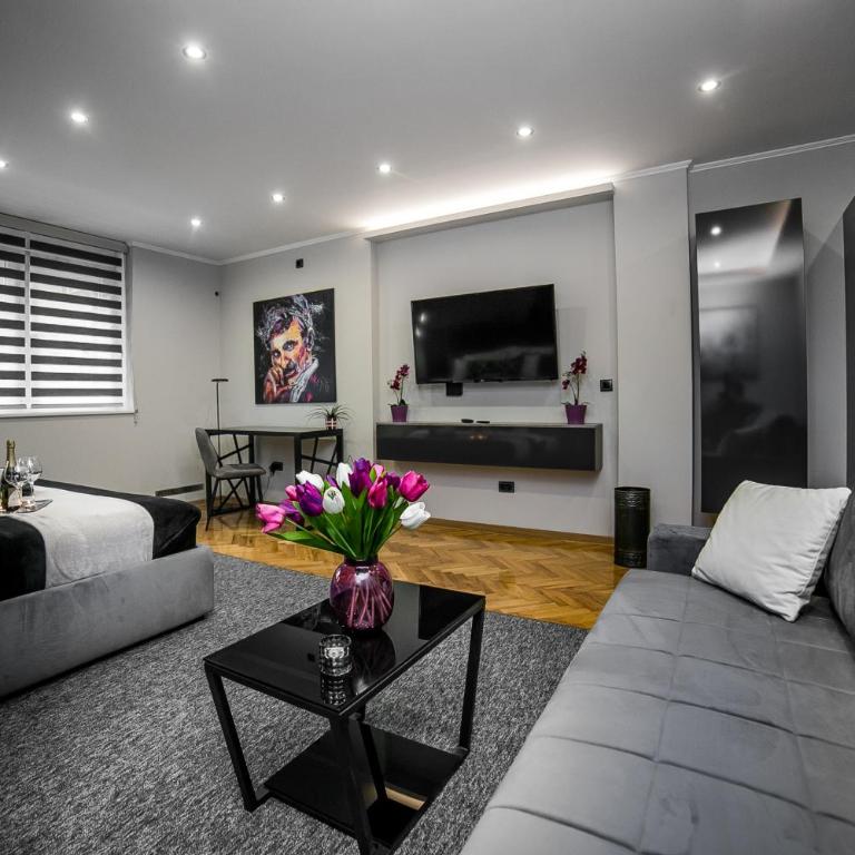 Sinergija - Apartman sa 1 Spavaćom Sobom - 17