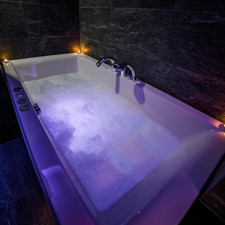 Sinergija - Apartman sa 1 Spavaćom Sobom - 2