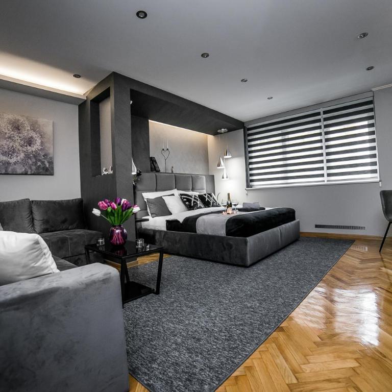 Sinergija - Apartman sa 1 Spavaćom Sobom - 19