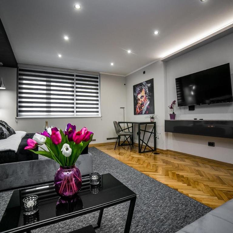 Sinergija - Apartman sa 1 Spavaćom Sobom - 23