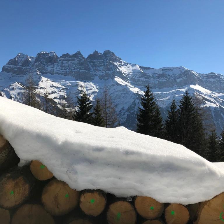 Chalet LYS Apartment 14 Rue Sigma - Apartment - 16