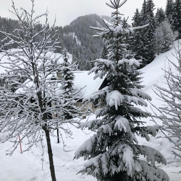 Chalet LYS Apartment 14 Rue Sigma - Apartment - 14