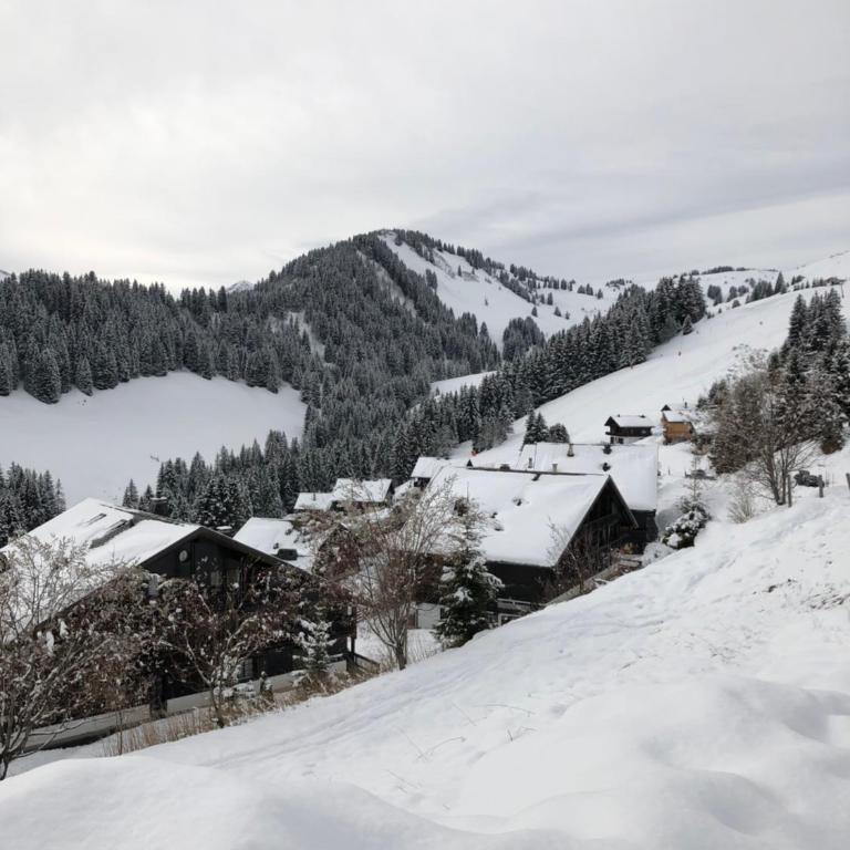 Chalet LYS Apartment 14 Rue Sigma - Apartment - 11