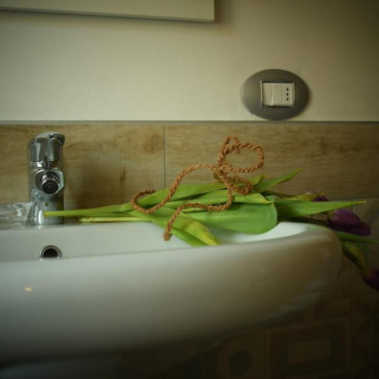 B&B Big Sur - Camera Matrimoniale con Bagno Privato - 5