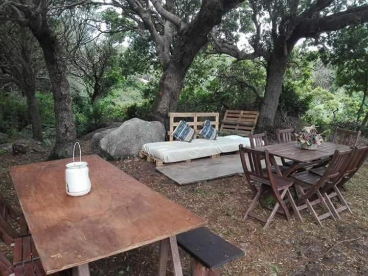 Eucaliptus Farm Retreat - Junior Suite Deluxe - 5