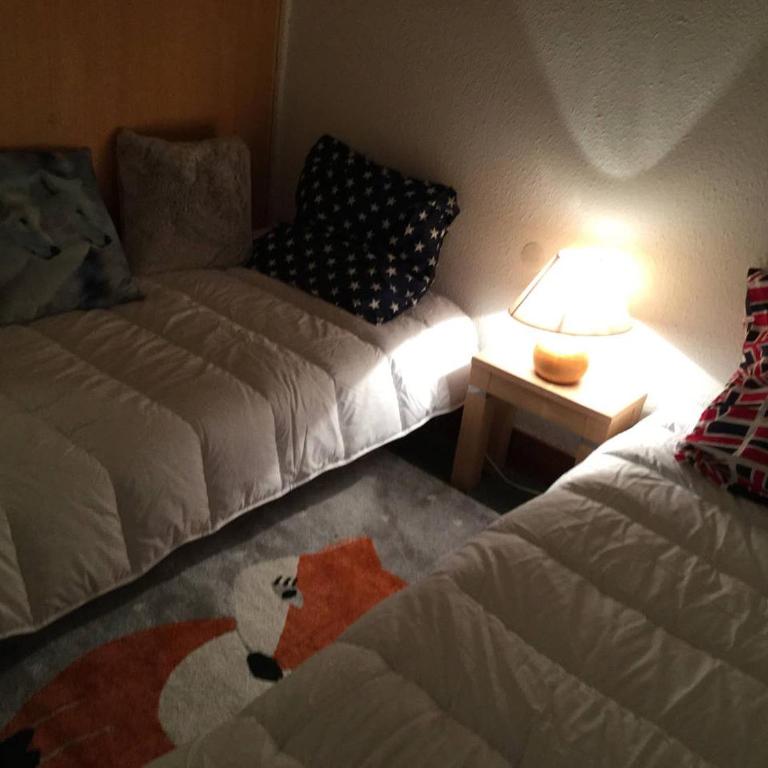 Chaleureux 3 pièces 50m² plein sud avec grande terrasse au pied des pistes à Isola 2000 - Appartement 2 Chambres - 19