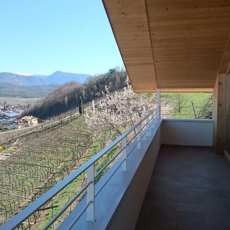 VILLA MILLY - Appartamento con Balcone - 12