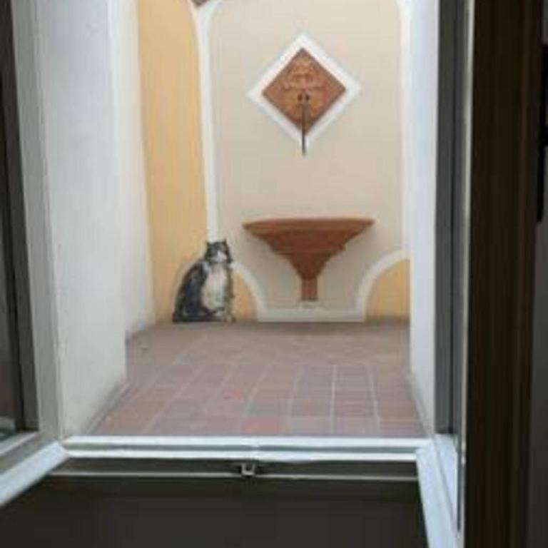 whouse suite porta di castello - Appartamento con 1 Camera da Letto - 36