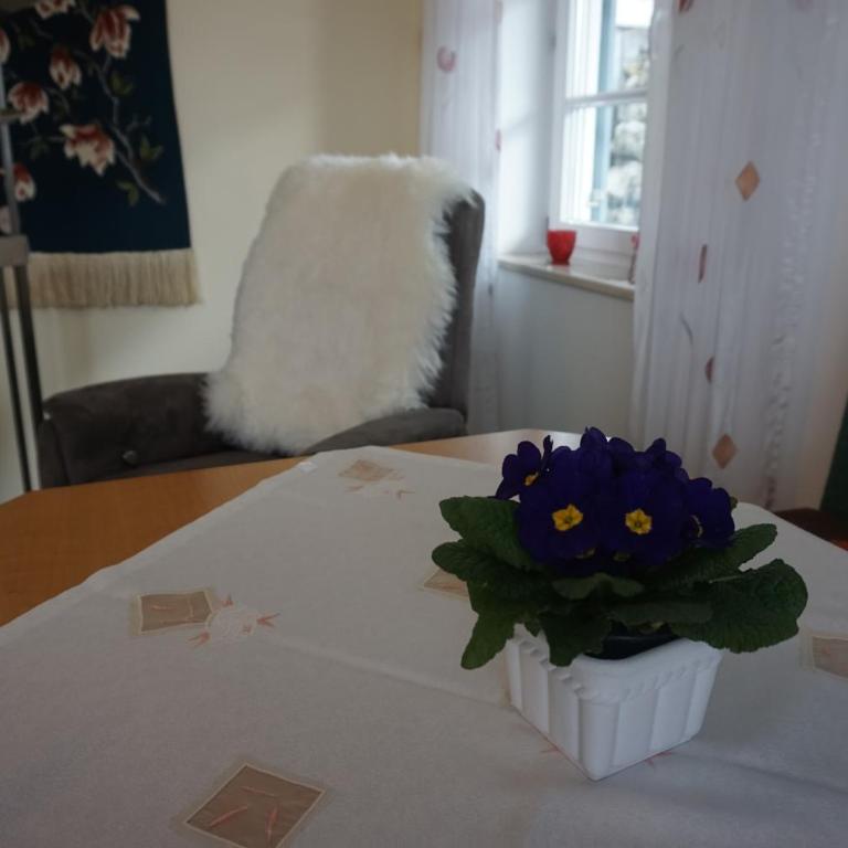 Apartment Regina - Apartment mit 1 Schlafzimmer - 41