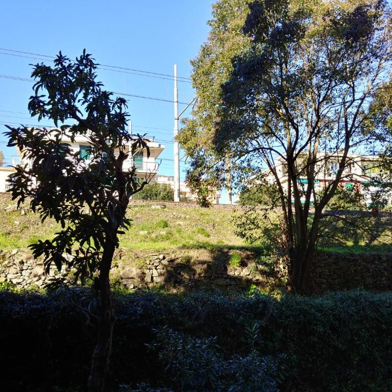 CASA DIPINTA - Casa Vacanze - 19