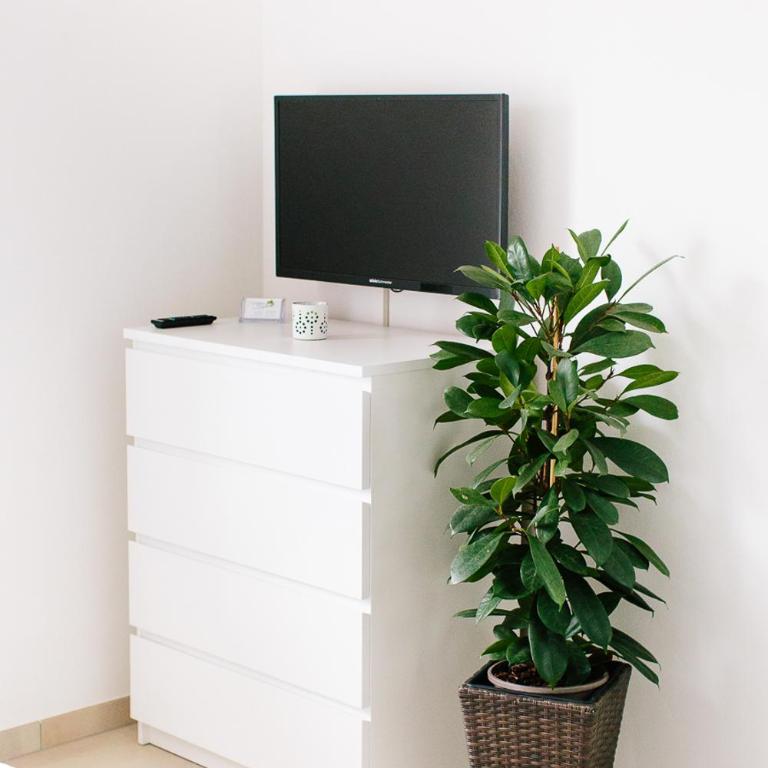 Steira-Studios - Apartment mit 2 Schlafzimmern - 3