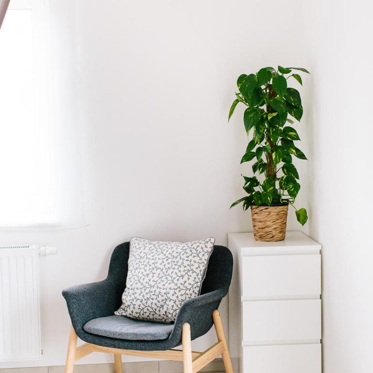 Steira-Studios - Apartment mit 1 Schlafzimmer - 3