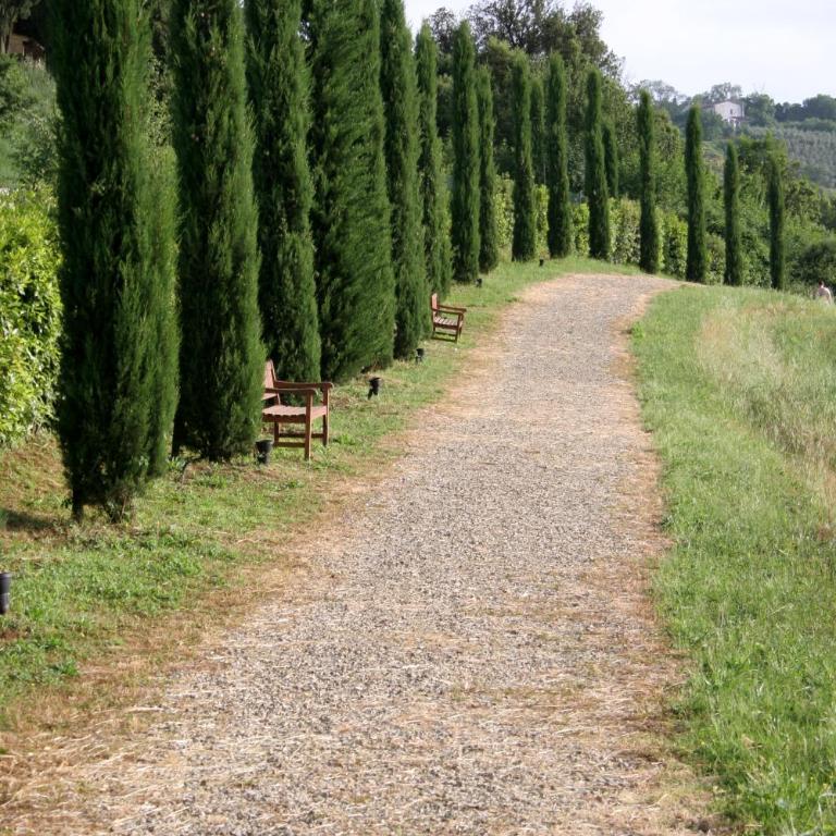 Tenuta Sant'Ilario - Camera Familiare (4 Adulti) - 7