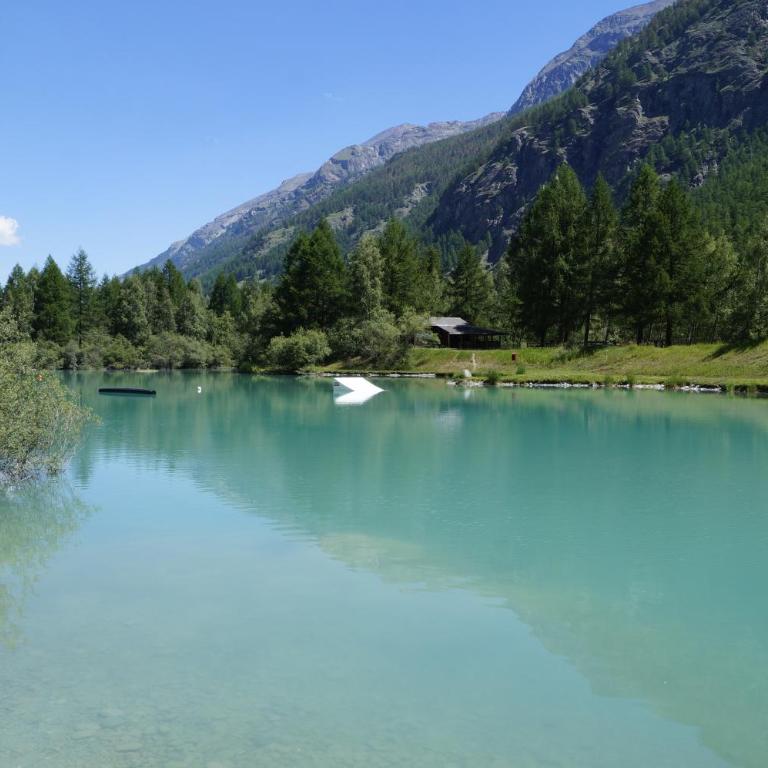 Monte Rosa D 412 - Apartment mit Blick auf die Berge - 38