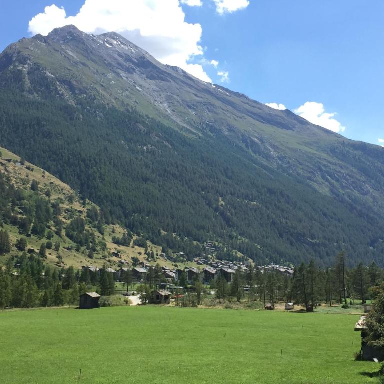 Monte Rosa D 412 - Apartment mit Blick auf die Berge - 47