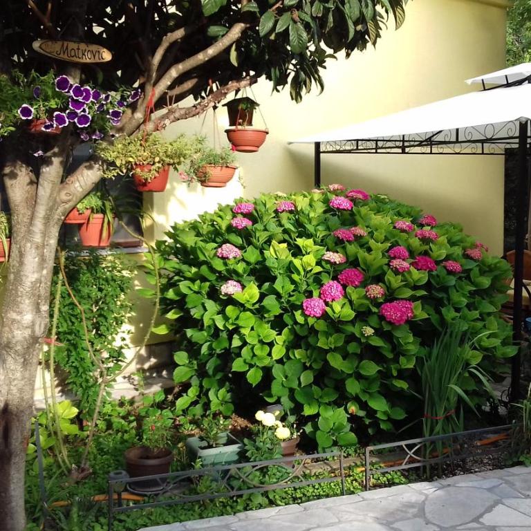 Apartments Matkovic - Two-Bedroom Apartment - 5