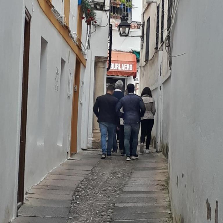 Lola5 - Apartamento de 2 dormitorios - 28