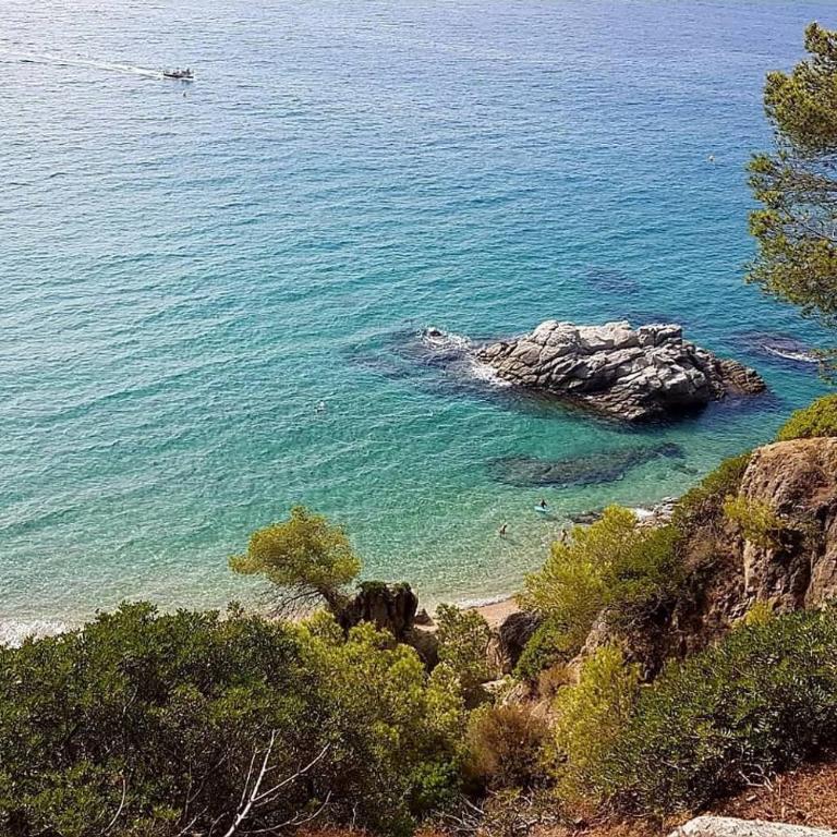 Apartamento Marimurtra Blanes con vistas al mar - Apartment mit 2 Schlafzimmern - 22