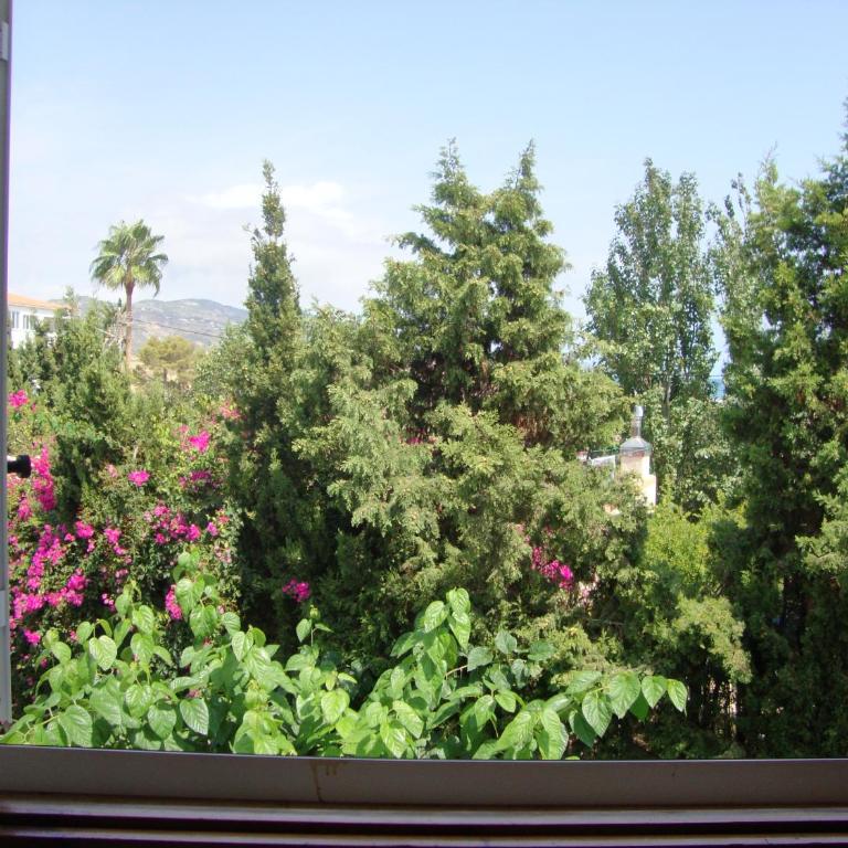 Alquileres Cap y Corp - Apartamento - 9