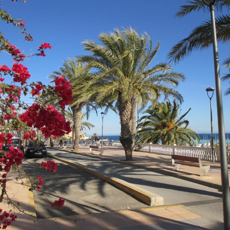 Playa Elisa Bay - Apartamento de 2 dormitorios - 34