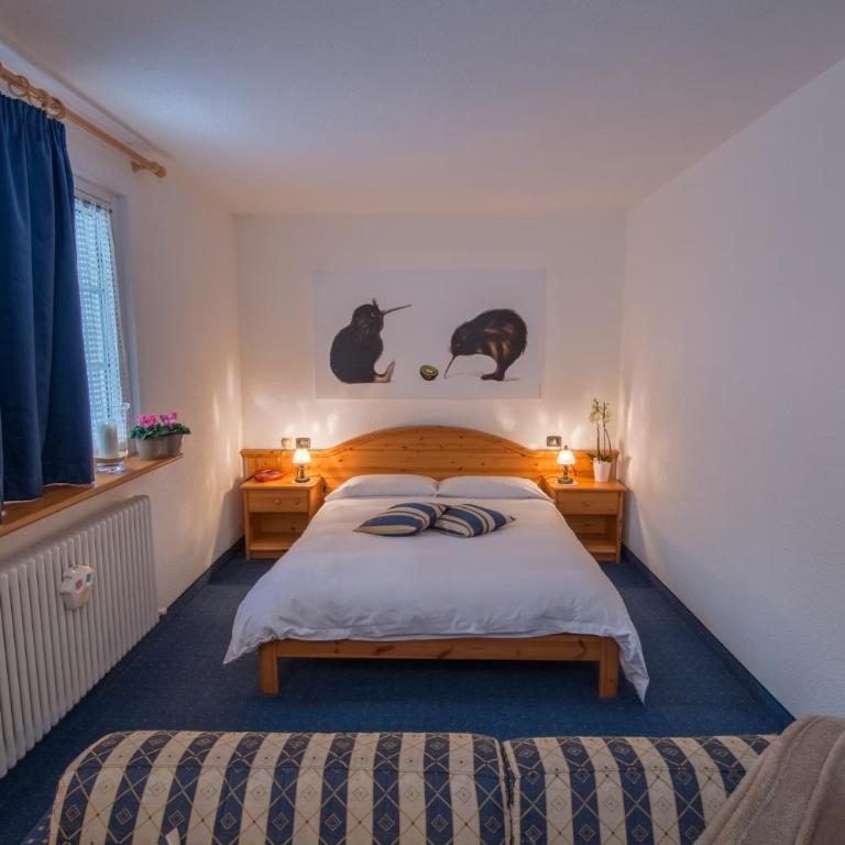Sport Hotel Alpina - Camera Deluxe - 1