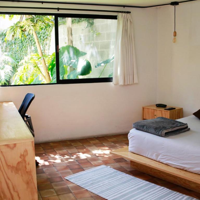 Coyoacan City Lofts - Estudio Estándar - 13