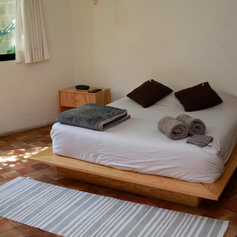 Coyoacan City Lofts - Estudio Estándar - 14