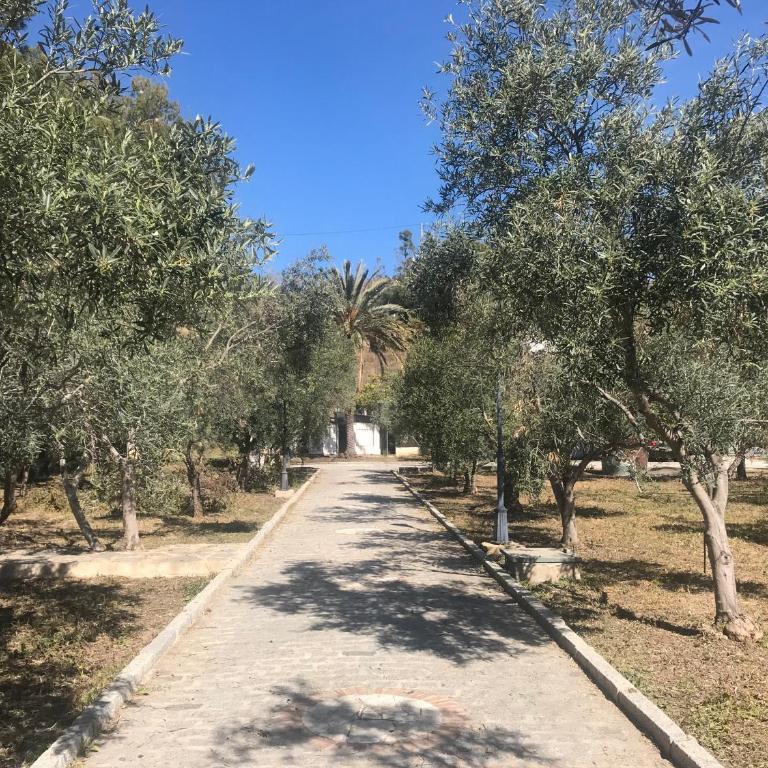 Alojamiento con Encanto en Málaga - Casa de 2 dormitorios - 20