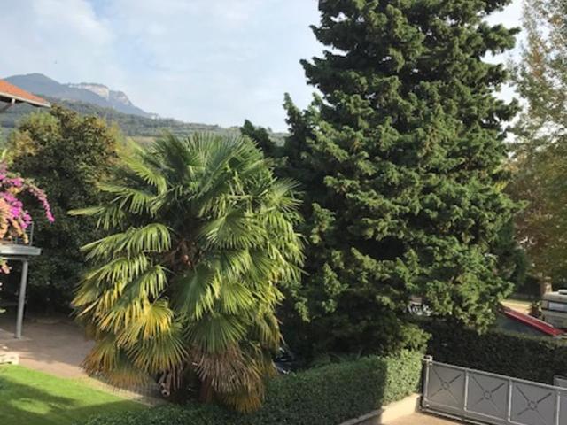 Appartement Vista Lago - Appartamento Superior - 32