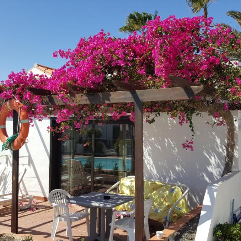 La Concha del Mar - Apartment - 3