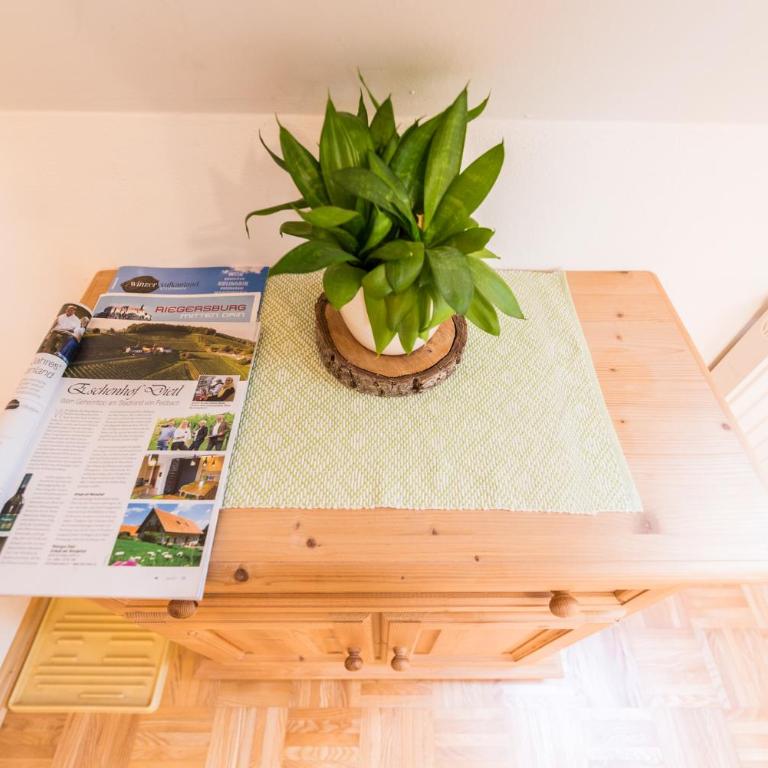 Weingut Dietl - Apartment with Garden View - 10