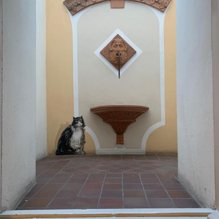 whouse suite porta di castello - Appartamento con 1 Camera da Letto - 27