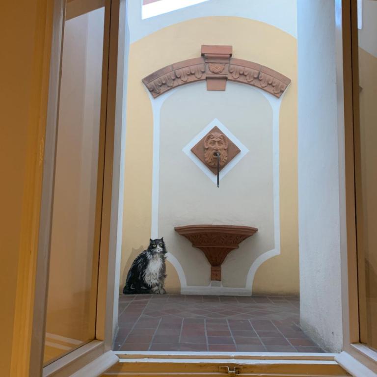 whouse suite porta di castello - Appartamento con 1 Camera da Letto - 21