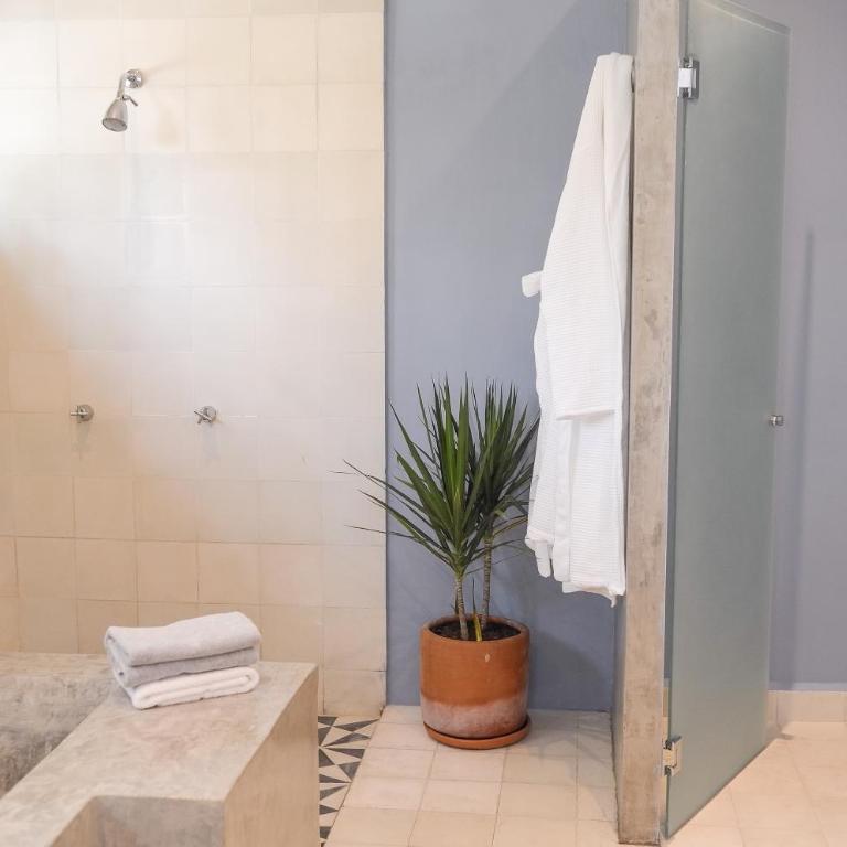 Casa Nuevo Leon - Suite Superior - 11