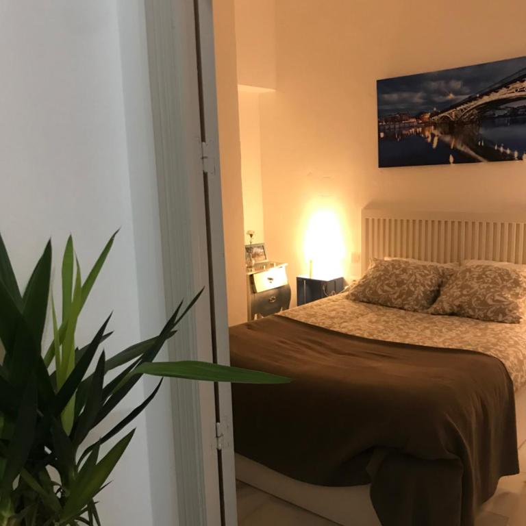 Santas Patronas Street center - Apartamento de 2 dormitorios - 10