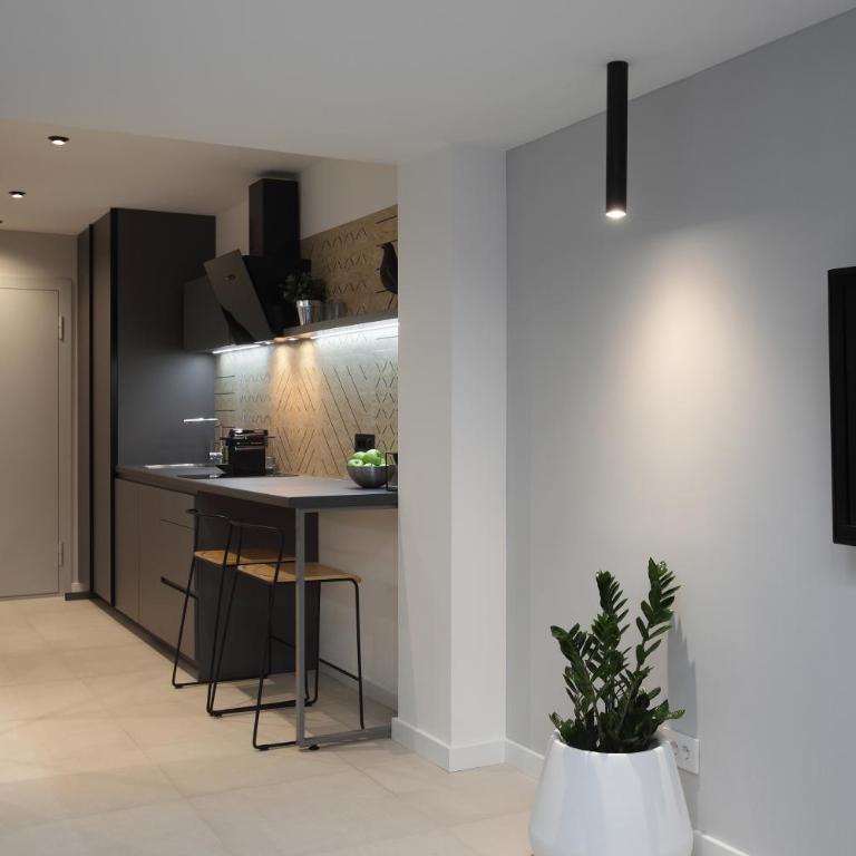 Temple Apartments Belgrade - Superior Apartman - 7